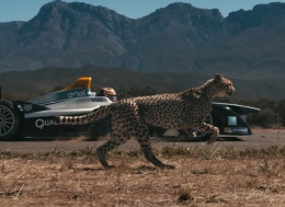 短程加速赛- 电动方程式赛车 vs 猎豹